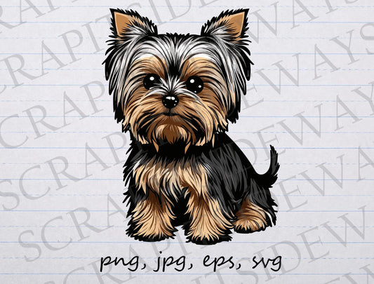 Cute Yorkie 2 clipart vector graphic svg png jpg eps dog puppy Yorkshire terrier