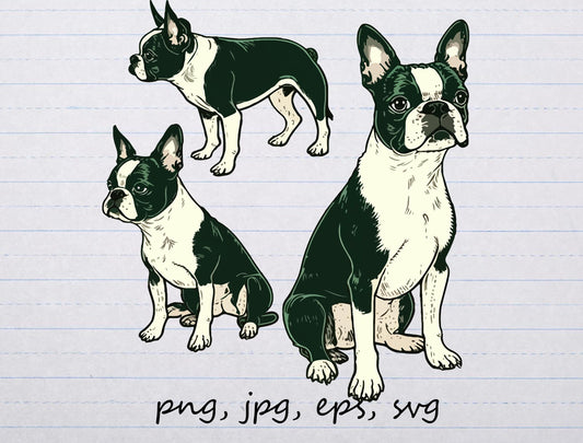 Boston Terriers clipart vector graphic svg png jpg eps puppy dog boston terrier