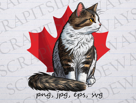 Canadian cat clipart vector graphic svg png jpg eps cute cat Canada flag Maple leaf design t-shirt design