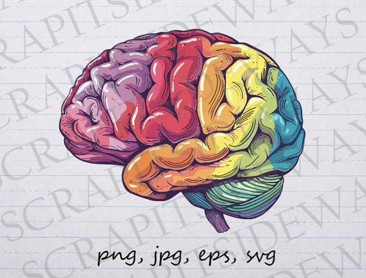 Rainbow brain clipart vector graphic svg png jpg eps, colorful brain, anatomical brain