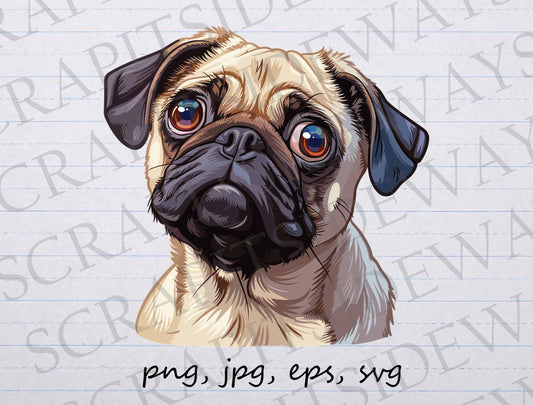 Big eyed pug clipart vector graphic svg png jpg eps, cute pug, pug mom, pug dad, begging pug, sad pug, dog lover, cute dog