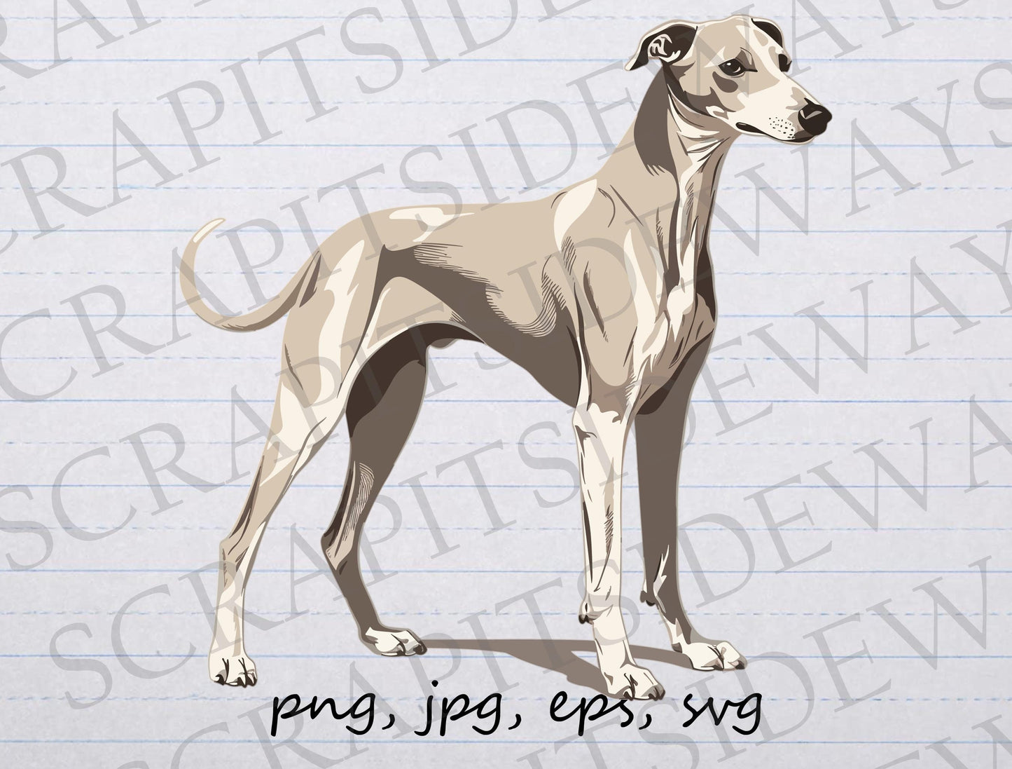 Full Body Whippet clipart vector graphic svg png jpg eps POD design dog puppy, dog breed, whippet mom, whippet dad, whippet lover