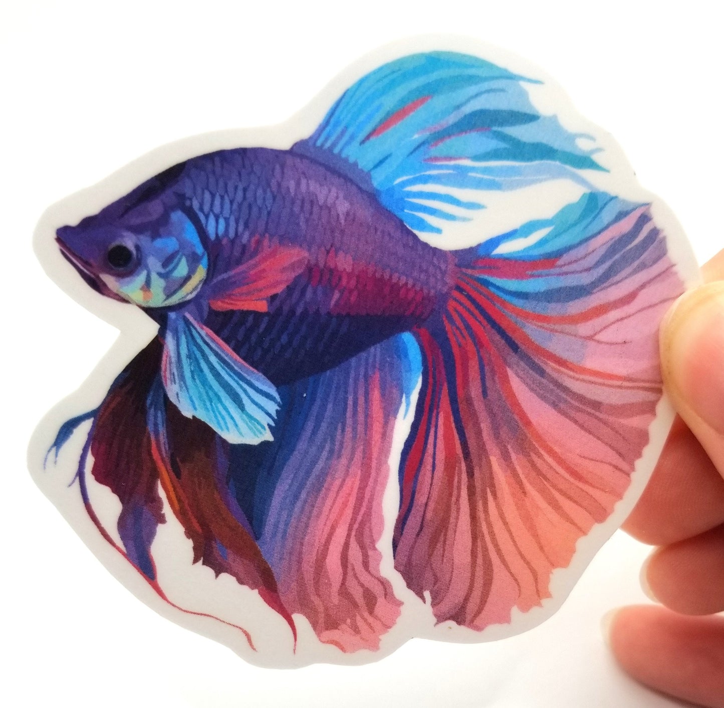 Beautiful Betta Fish vinyl sticker 3 inches, water resistant decal, pretty fish, fish sticker, aquarium lover, fish lover