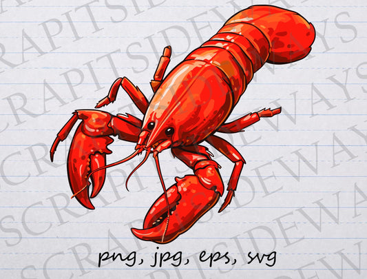 Crawfish clipart vector graphic svg png jpg eps clip art lobster, crustacean, sea  creature, crawdaddy, crayfish