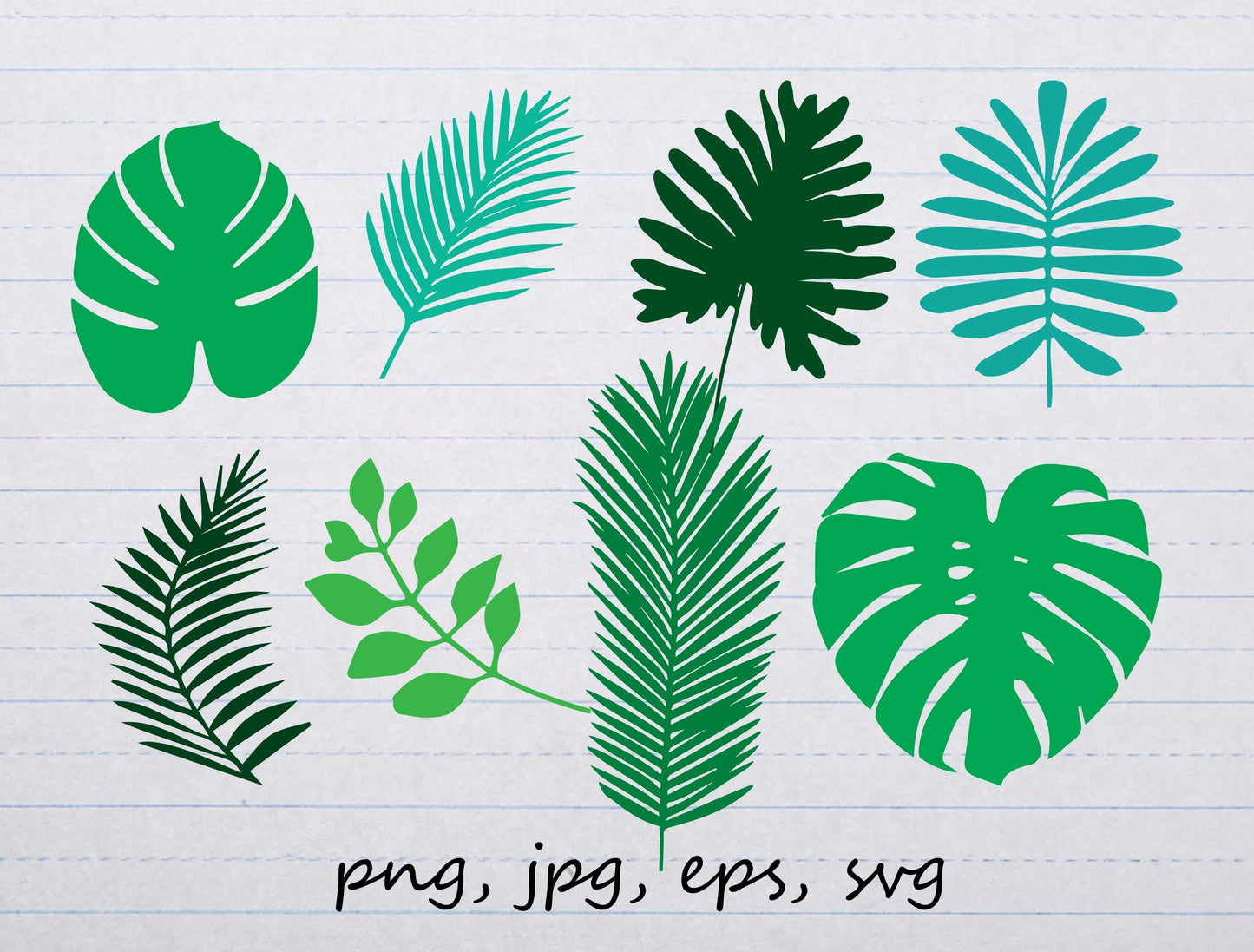 lot of 8 Tropical leaves clipart vector graphics and elements svg png jpg eps monstera leaf foliage