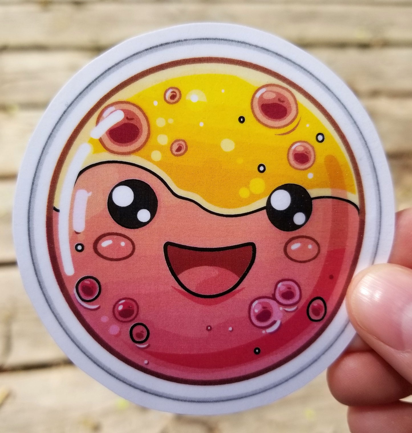 Kawaii petri dish vinyl sticker 3 inches, water resistant decal, cute petri dish, microbiology, microbiologist, scientist, cute bacteria