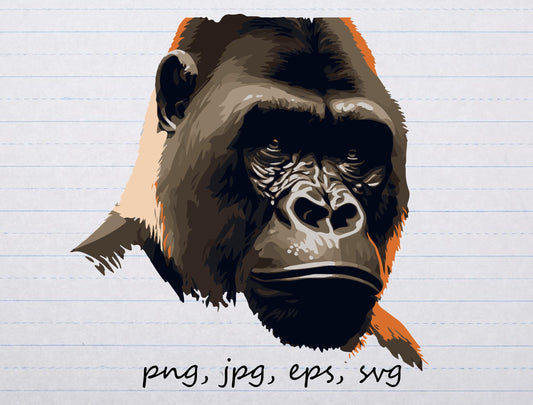 Gorilla portrait vector graphic svg png jpg eps clipart animal zoo monkey ape