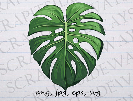 Monstera Leaf clip art clipart vector graphic svg png jpg tropical leaf, tropical plant