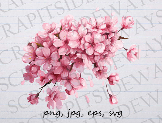 Cherry blossom flowers clip art clipart vector graphic svg png jpg eps florals, botanicals, sakura flowers, pink flowers