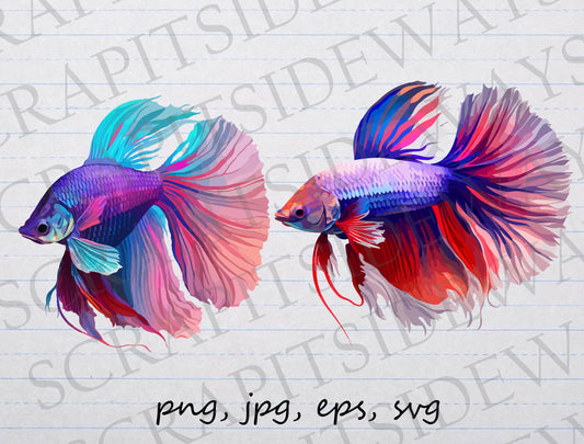 Betta Fish clipart vector graphics svg png jpg eps aquarium aquatic animal beautiful fish