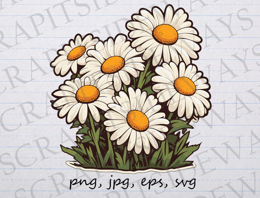 Daisies clip art clipart vector graphic svg png jpg eps florals, botanicals, white daisies, daisy plant, flowers