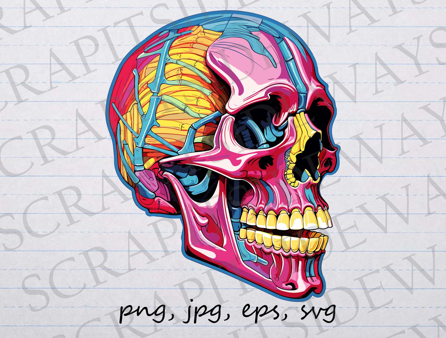 Pop art skull clipart vector graphic svg png jpg eps, pop art head, Colorful anatomy, anatomical skull