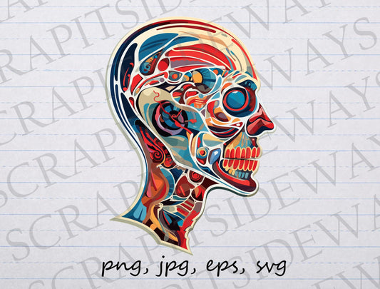 Anatomical head clipart vector graphic svg png jpg eps brain pop art head Colorful brain anatomy