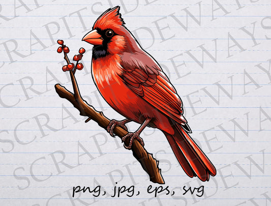 Cardinal clipart vector graphic svg png jpg eps bird, bird lover, bird watcher, cute bird, pretty bird