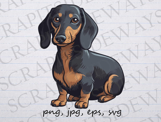 Cute Dachshund clipart Clip art vector graphic svg png jpg eps POD design dog puppy wiener dog