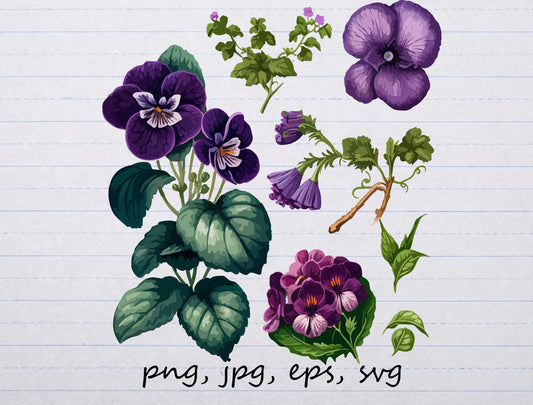 lot of 7 violets purple flowers clipart vector graphics and elements svg png jpg eps foliage plants